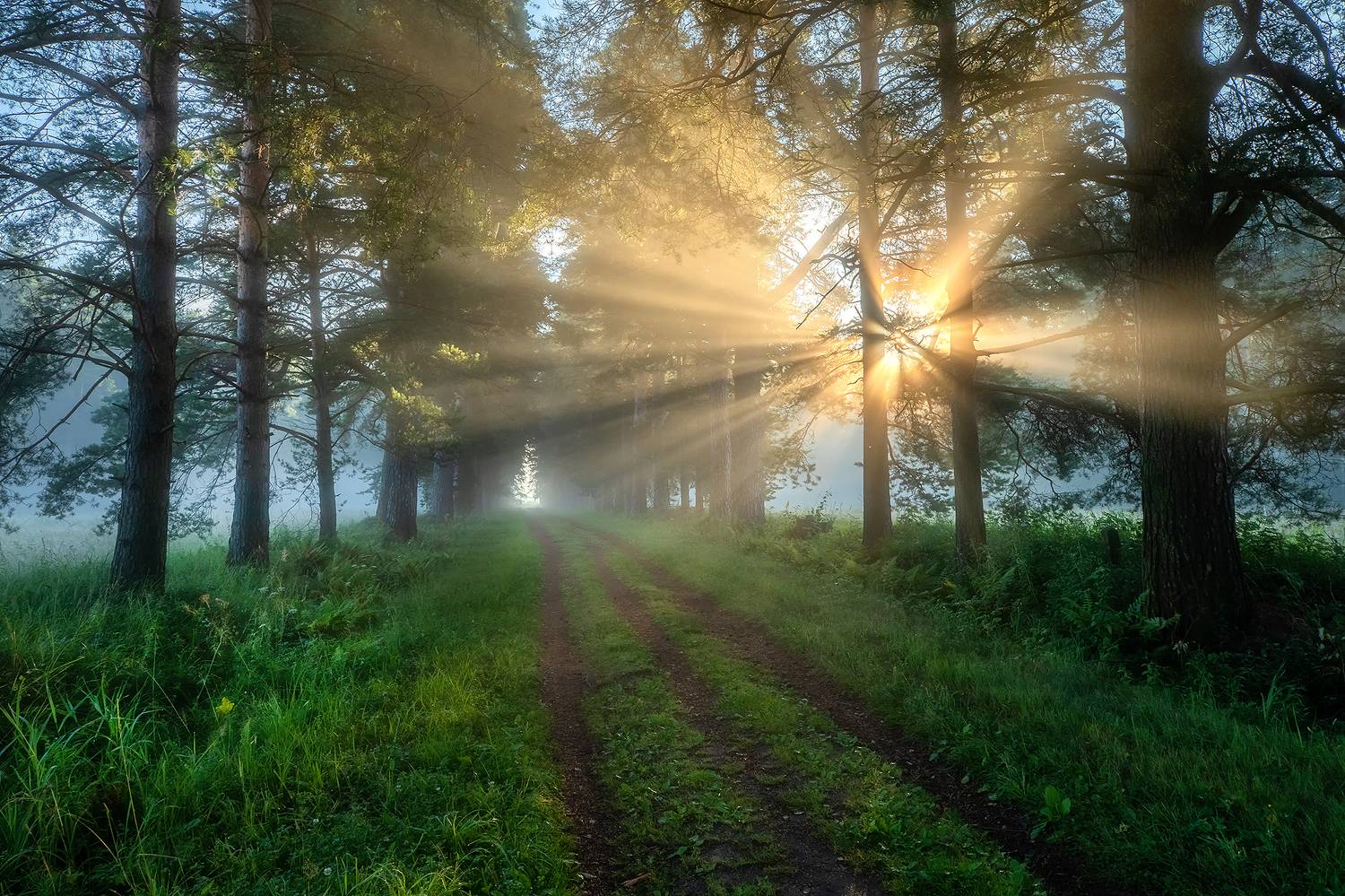 , Александр Пашеничев