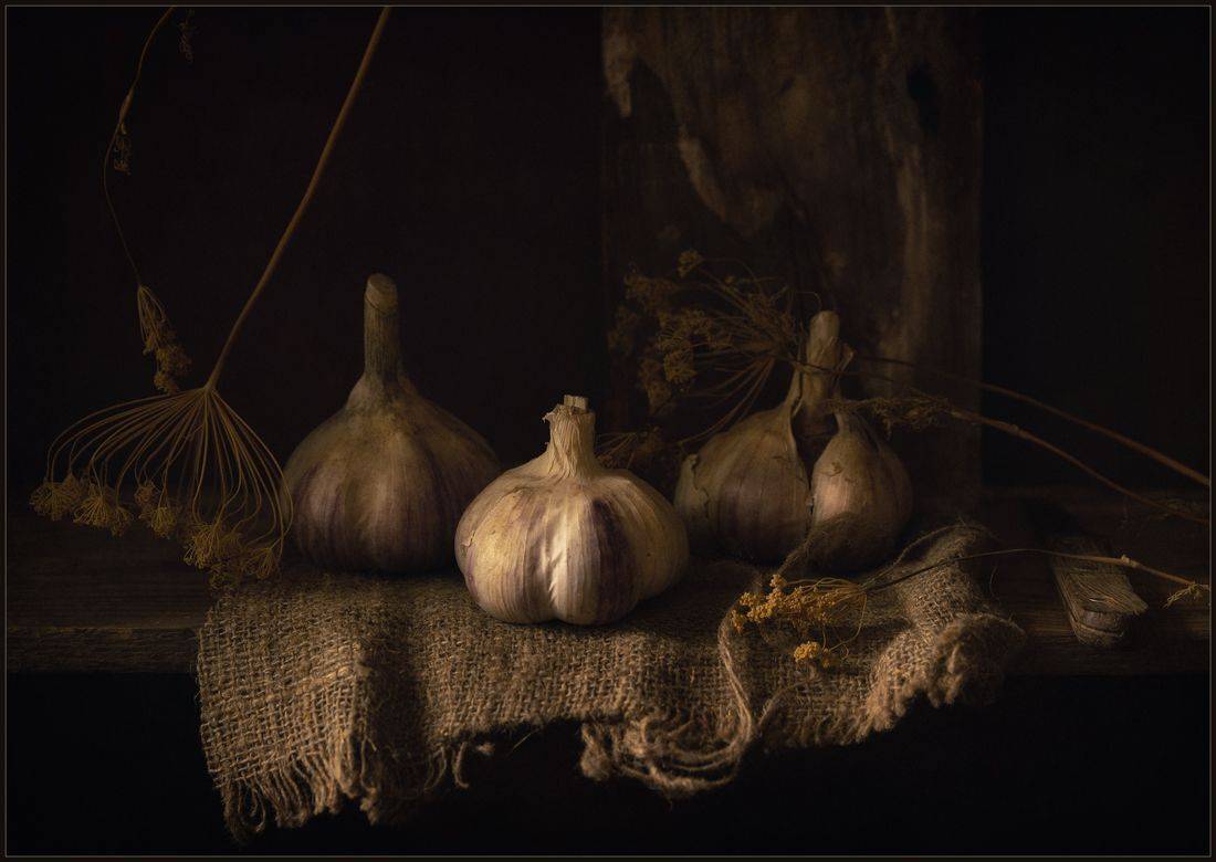 , Хромеев Александр