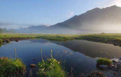 Июльским утром