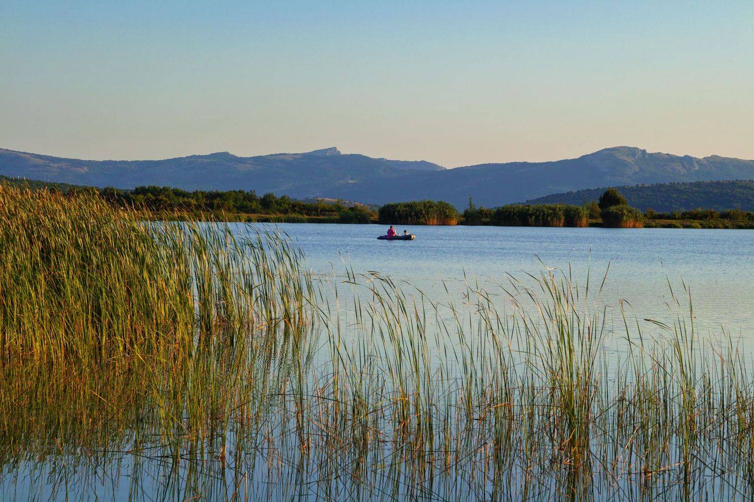 sigma sd quattro . crimea, Дмитрий Цыпляев