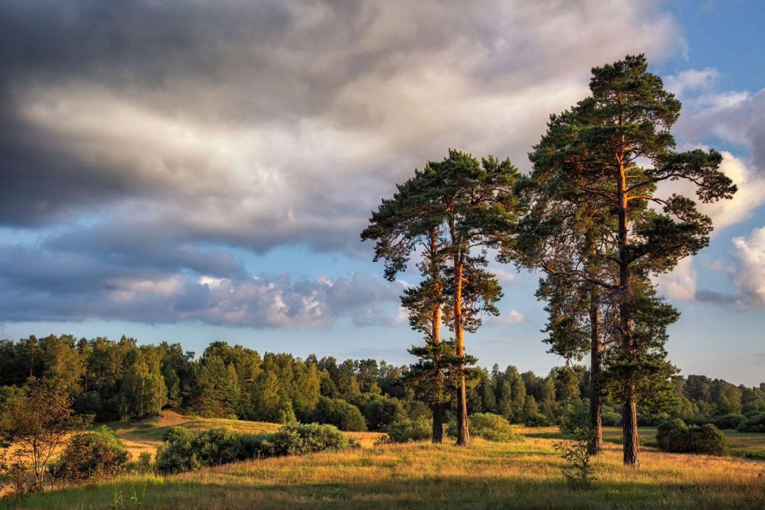 , Евгений Ерохин