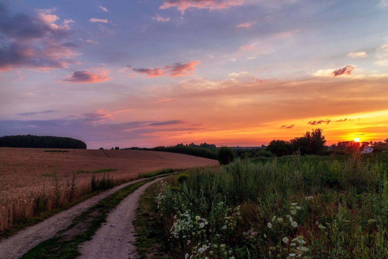пейзаж закат вечер лето поле, Дима Карабинов