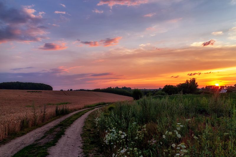 пейзаж закат вечер лето поле  фото превью
