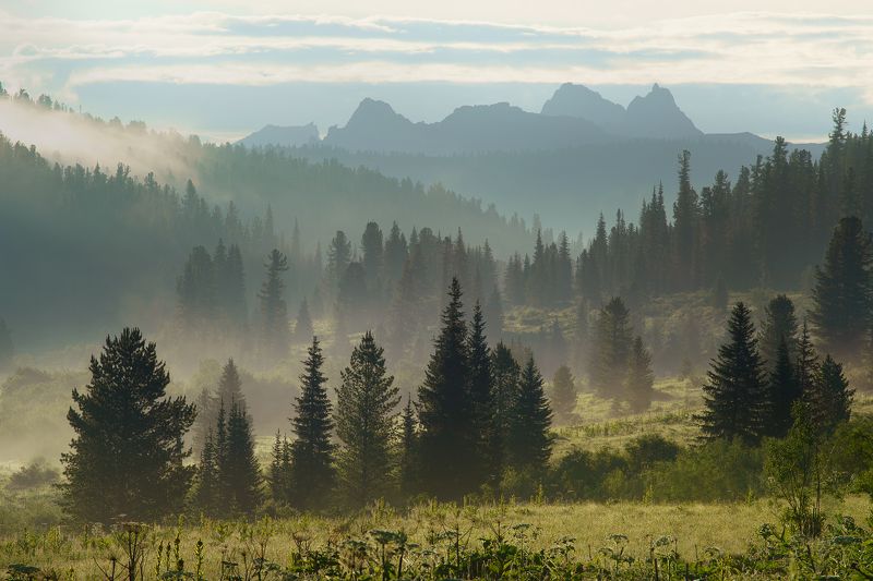 ергаки, красноярские, пейзаж, красиво, лето, туман, август, хайкинг, тревел, туризм Сибирская Швейцария фото превью