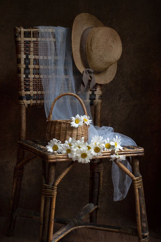 ромашки, стул, плетеный, корзинка, натюрморт Далёкое лето фото превью