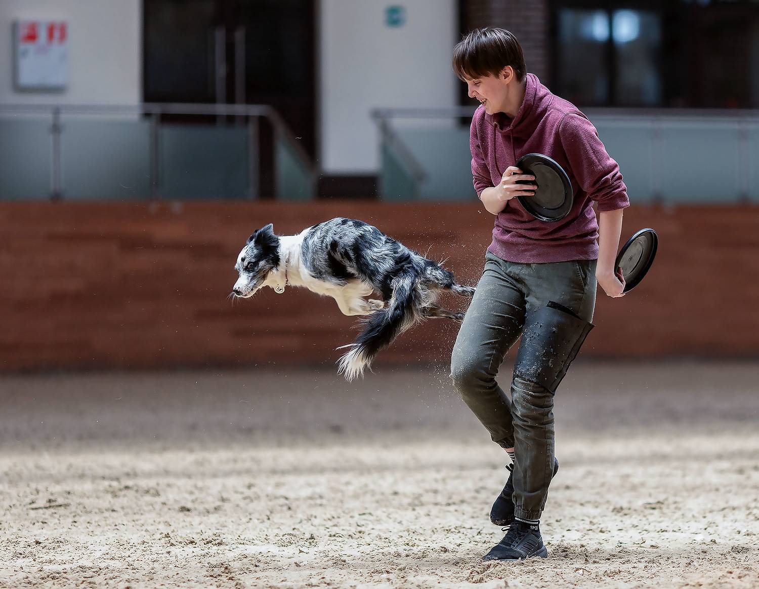 соревнования, спорт, фристайл, competition, dog, sport, Стукалова Юлия