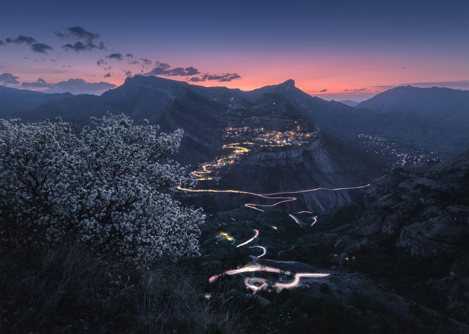 , Политова Анна