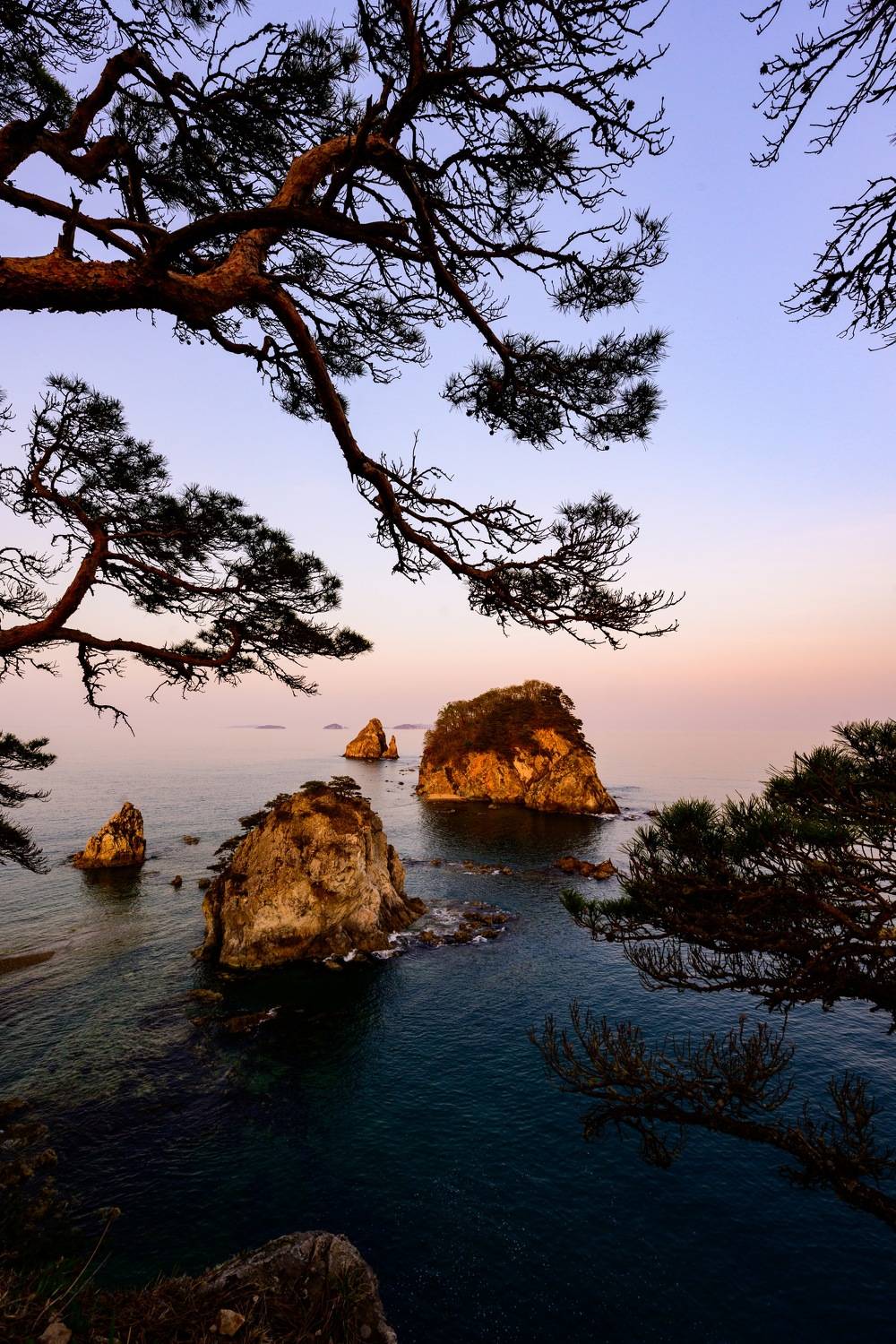 мыс сосновый, полуостров гамова, пейзаж, закат, золотой час, Karasev Pavel