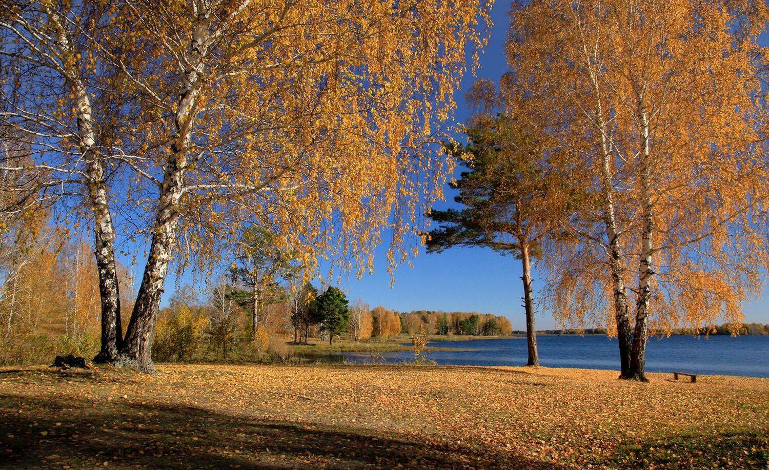 , Алексей Хахлов