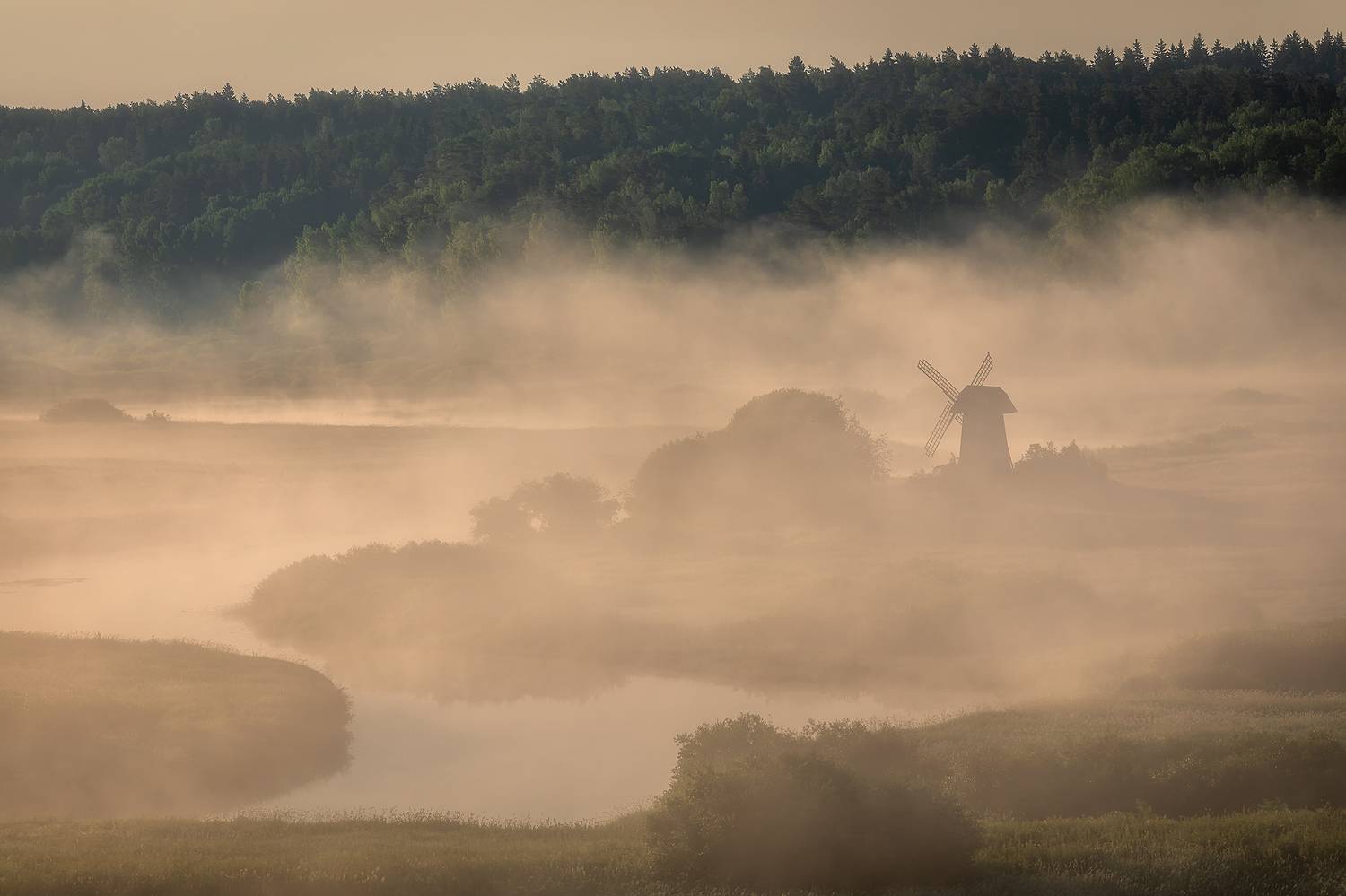 , Александр Пашеничев