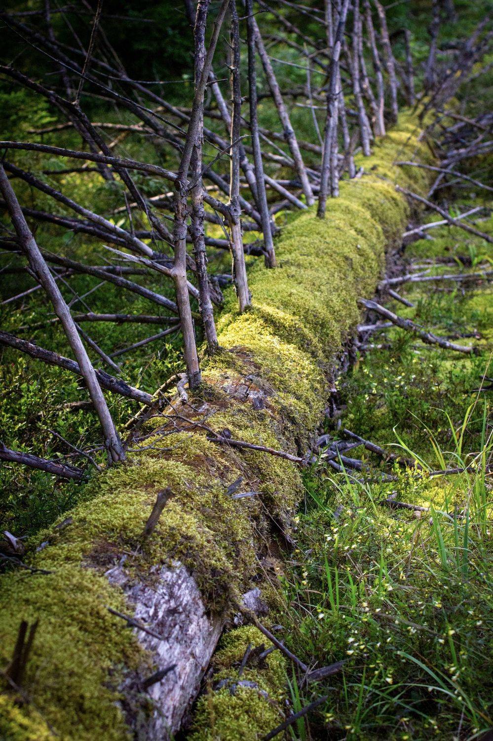 , Сергей Фаренюк
