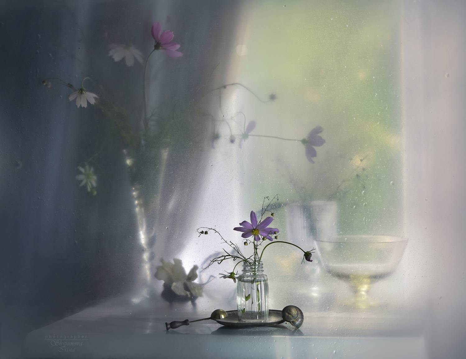 , Ирина Шипунова