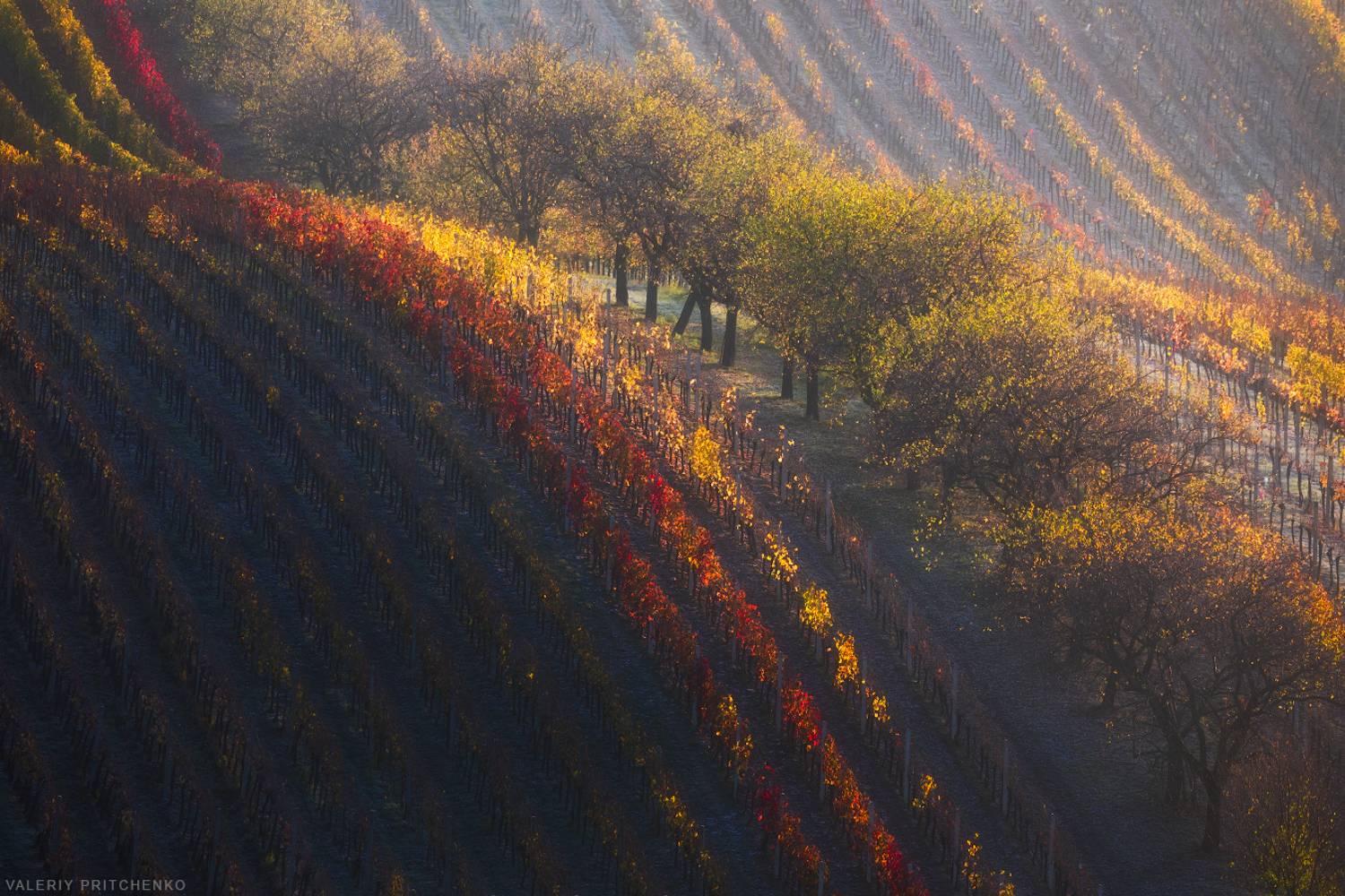 , Валерий Притченко
