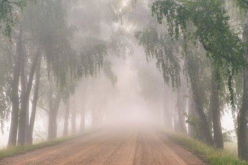 В последнее утро июля