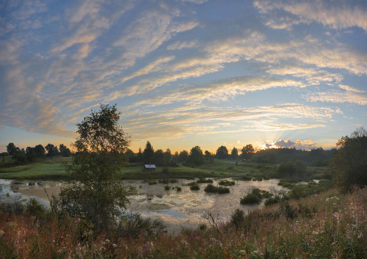 утро, поле, лес, пруд, Александр Свистков
