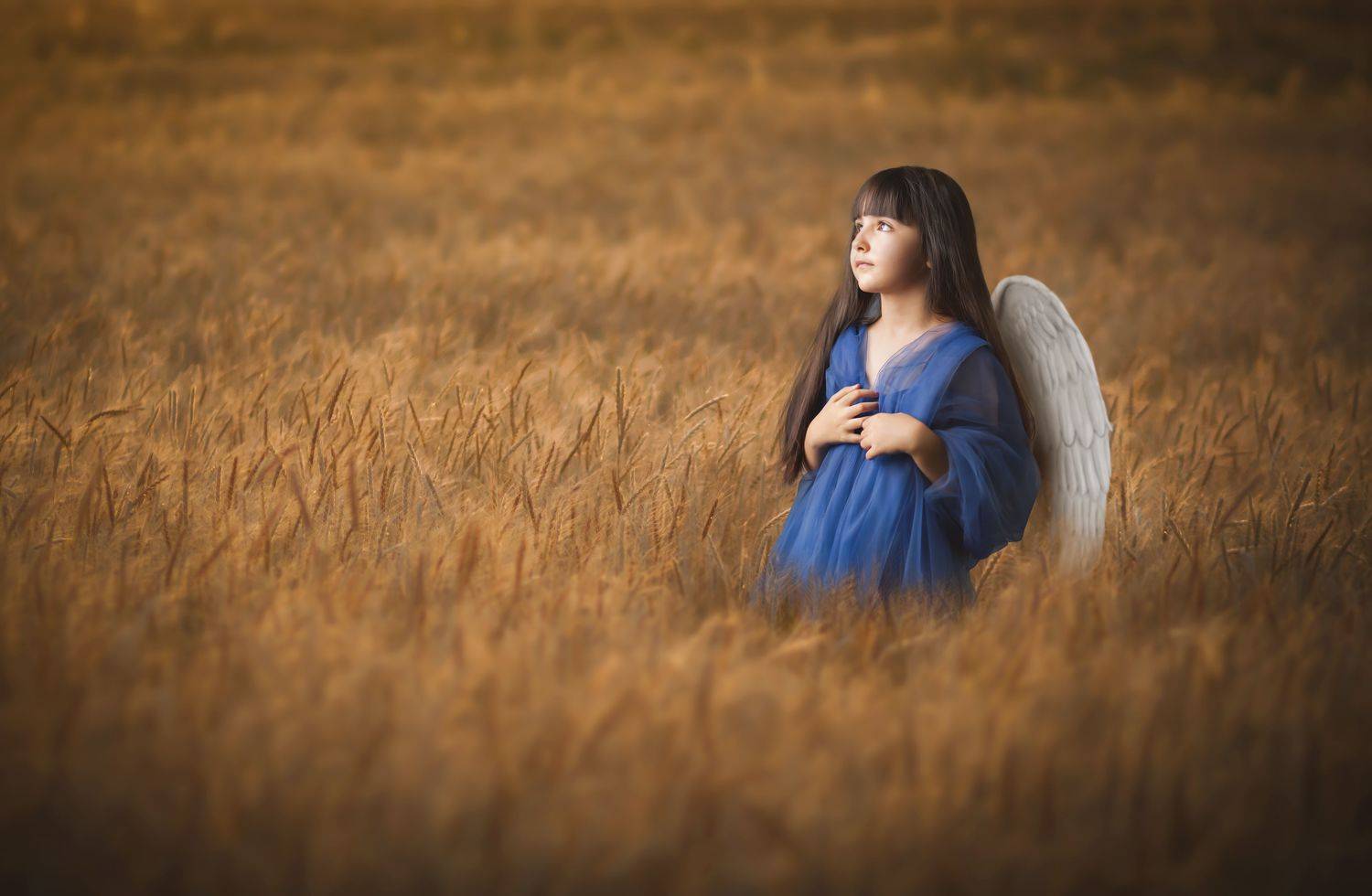 گندم#پرتره#دختر, Hasan Nazari