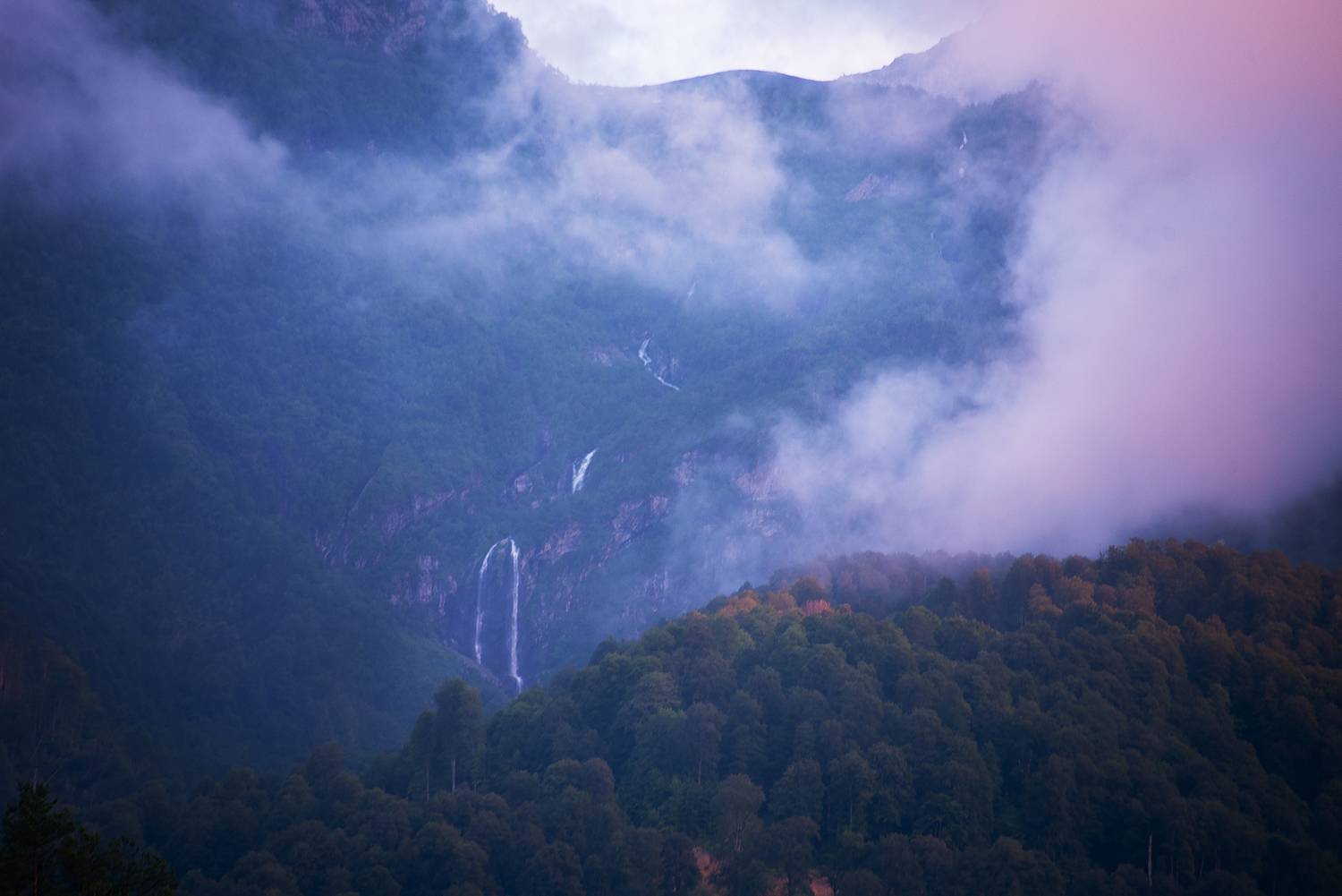 , Чавыкина Анастасия