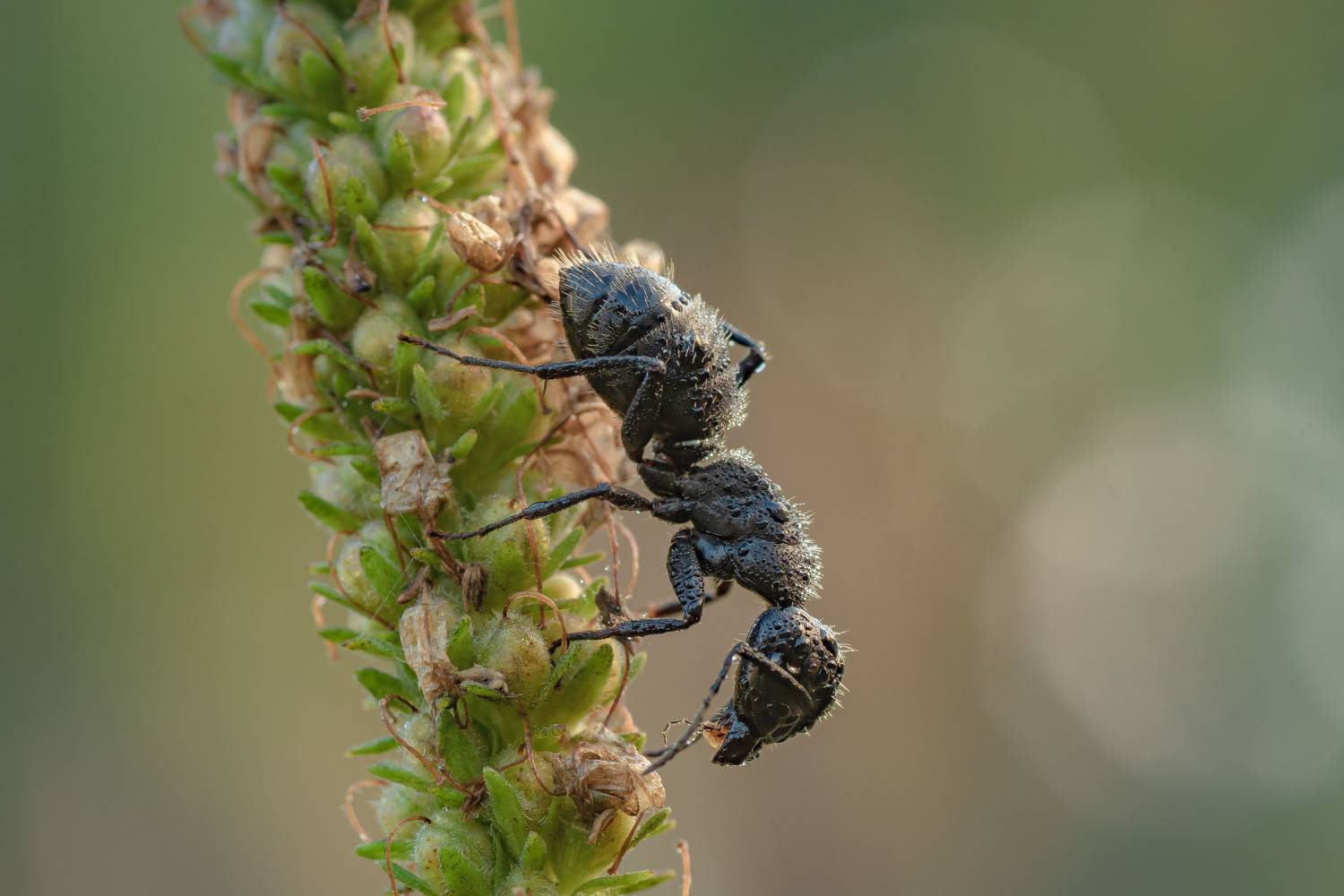 , Роман Зайцев