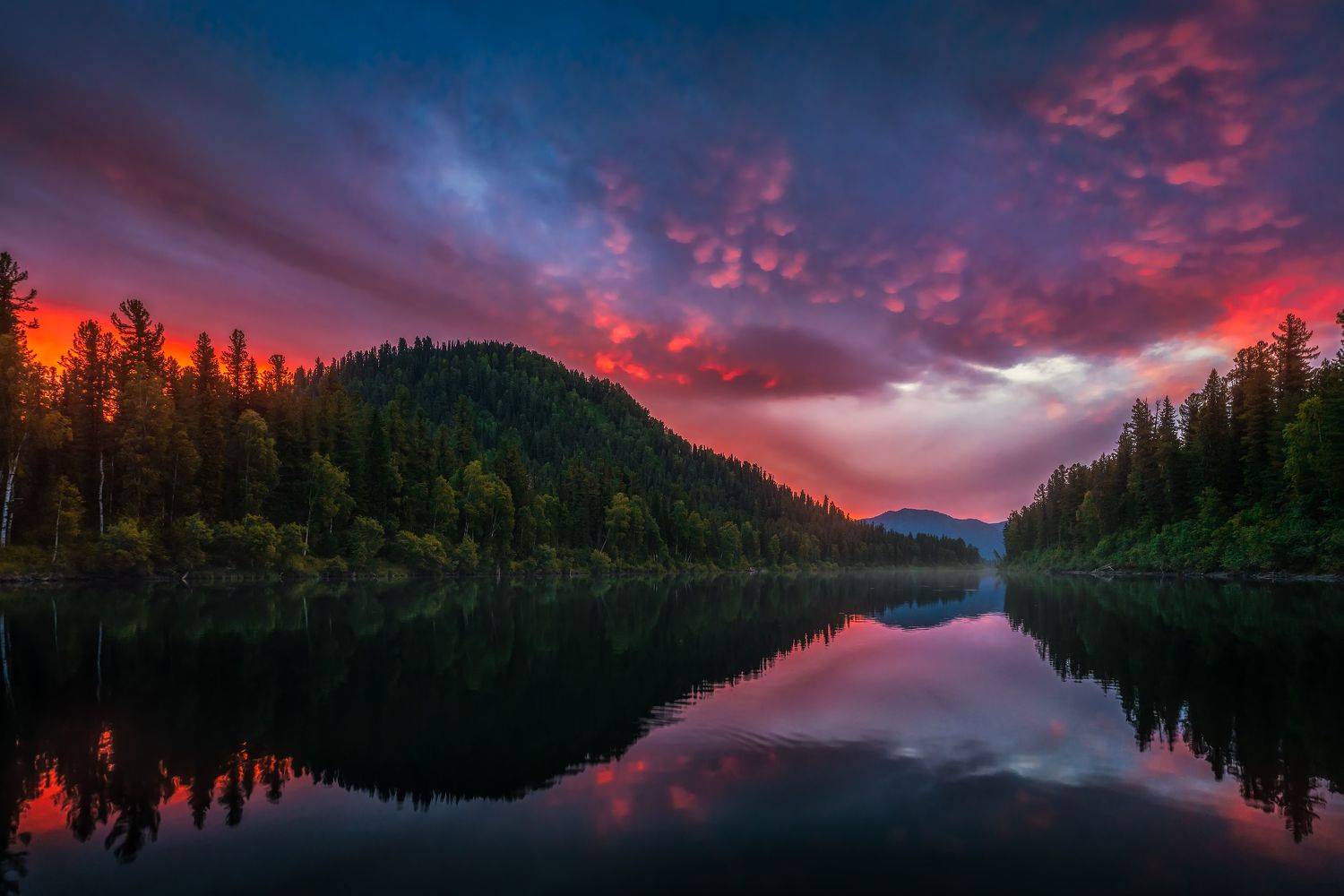 , Alexander Nikitin