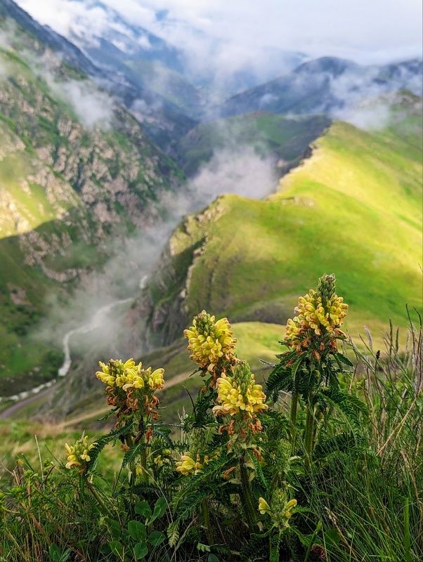 Встречая утро фото превью