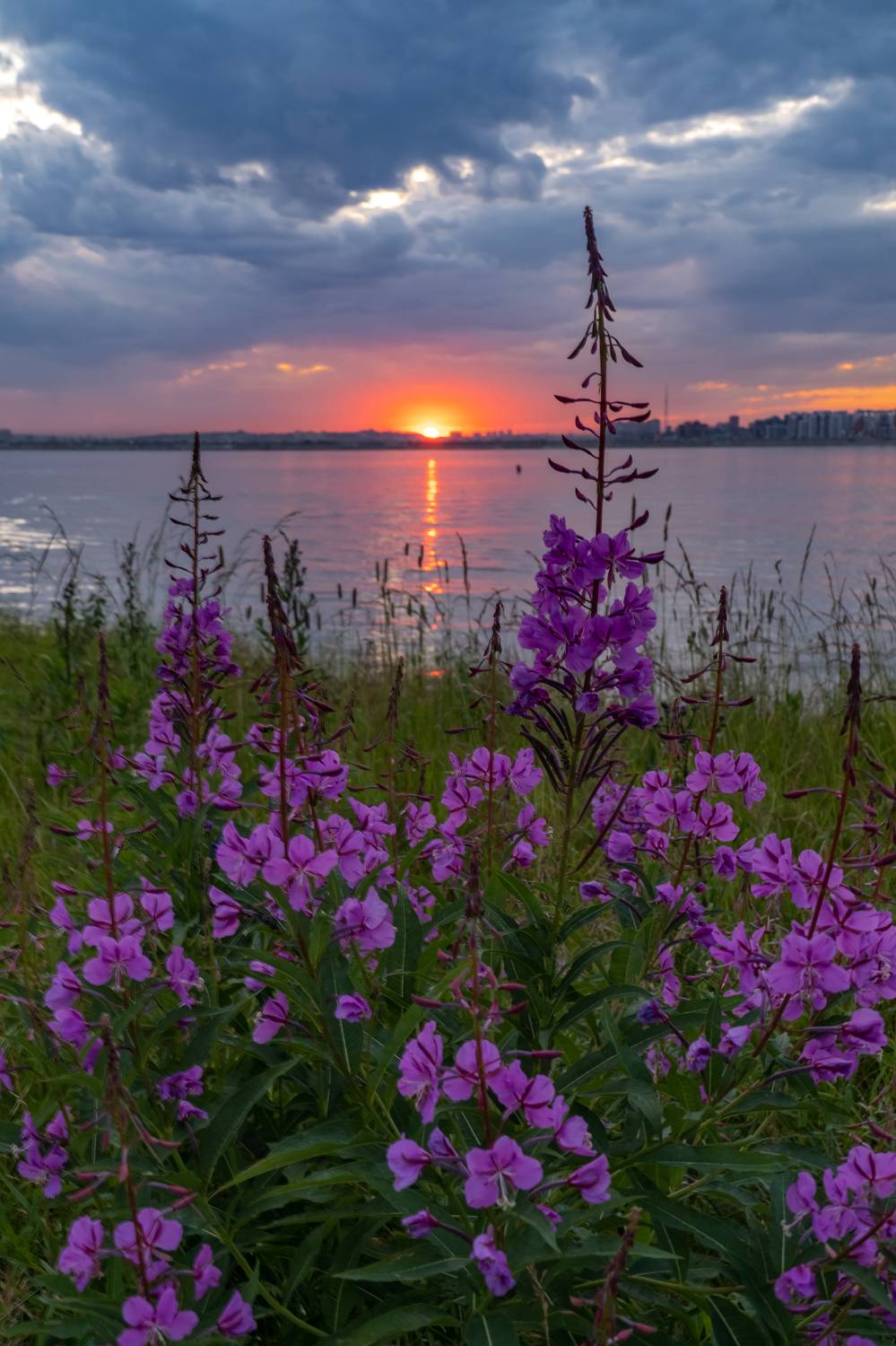 ангара, иркутск, иван-чай, закат, Тильпунов Михаил