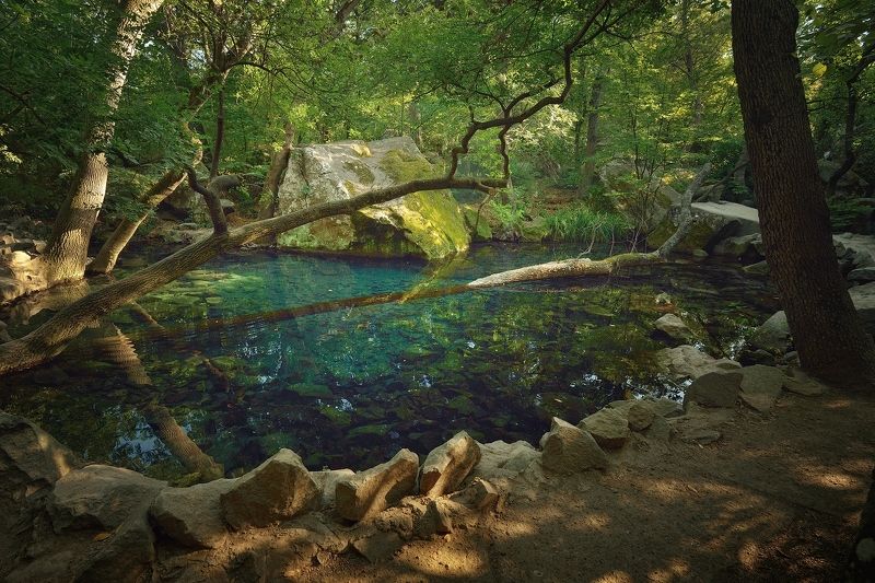 Логово водяного фото превью