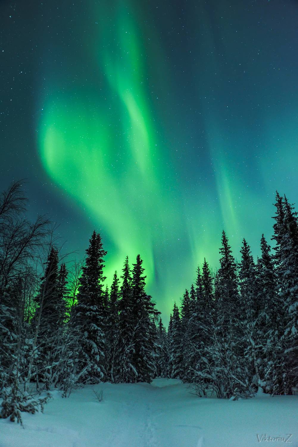 северное сияние, полярное сияние, заполярье, aurora borealis, polar lights, Куликов Виктор