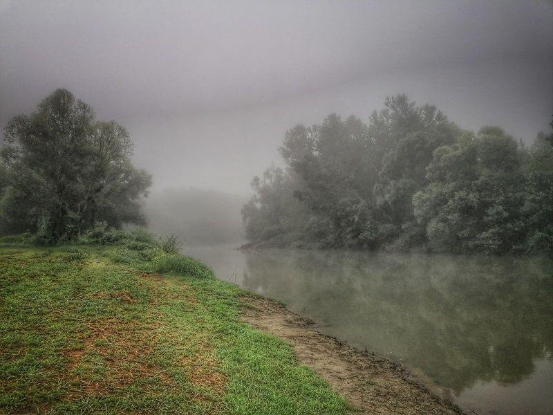 After the rain фото превью