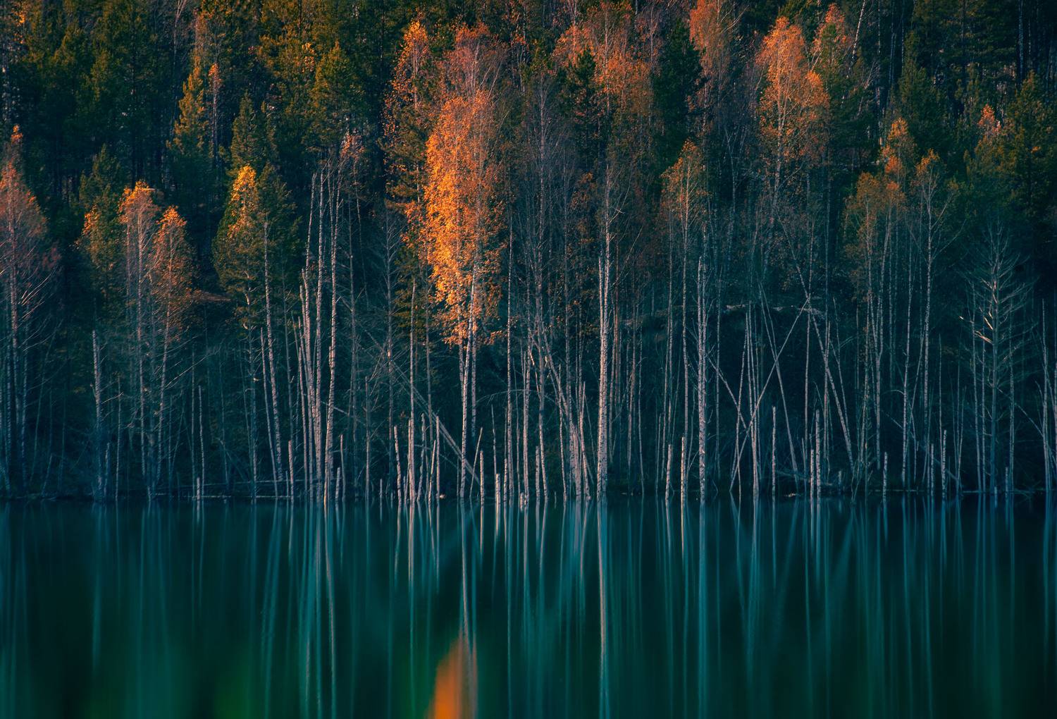 , Никифорова Ксения