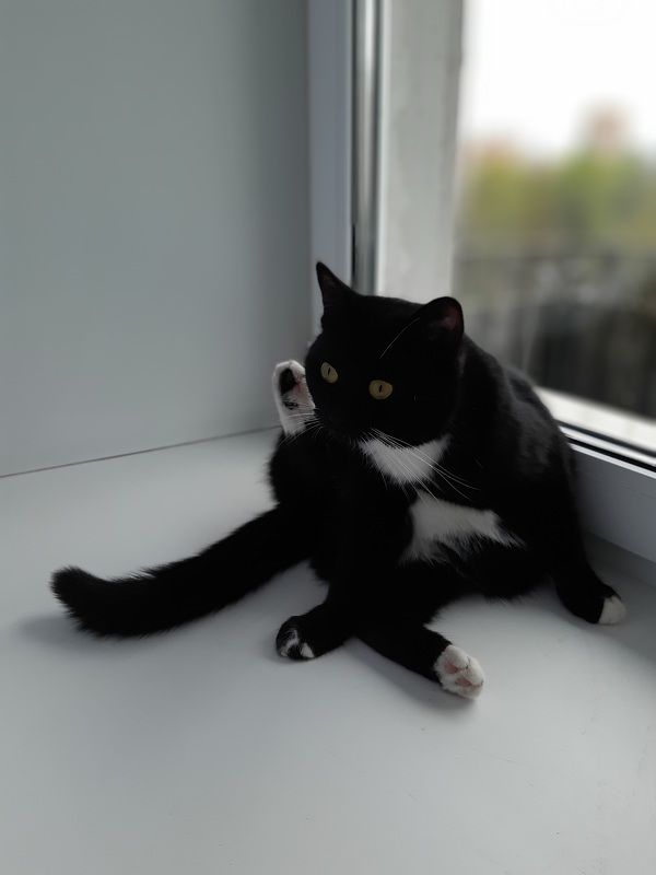 Каллиграфия. Иероглиф \