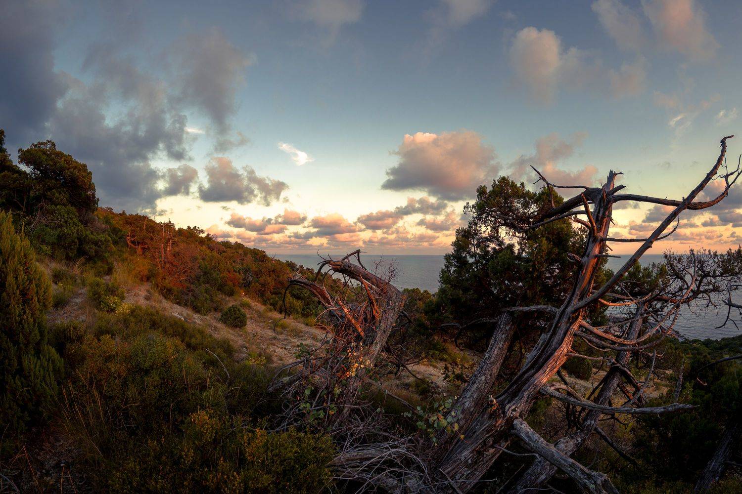 , Вадим Коваленко