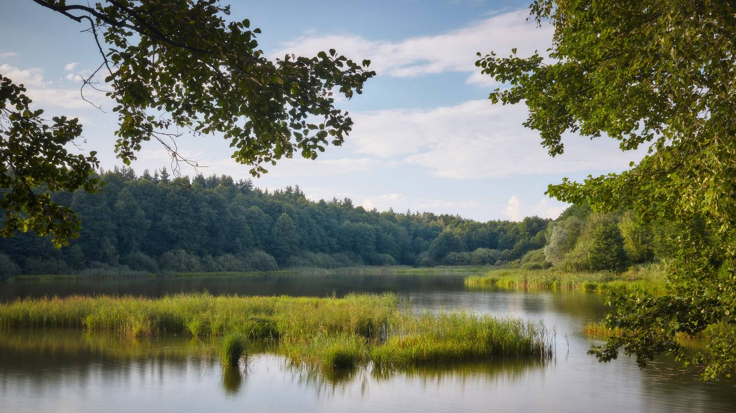лес, озеро, небо, Валерий Вождаев