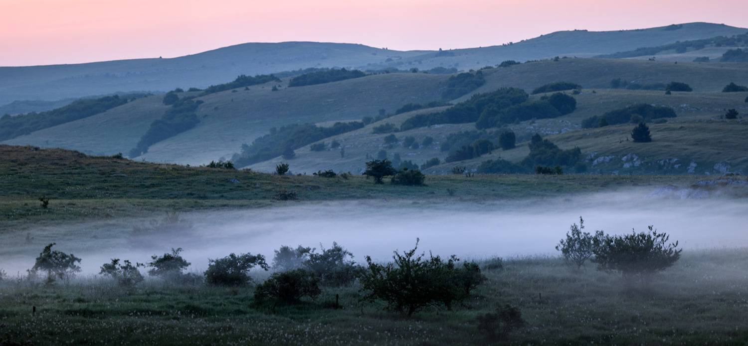 , Андрей Гусаченко