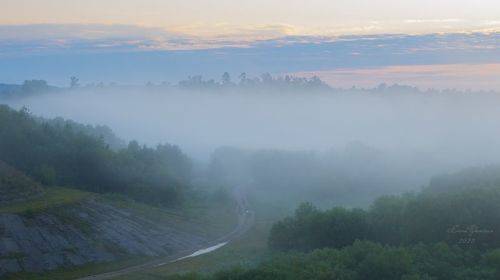 Дорога в сказку