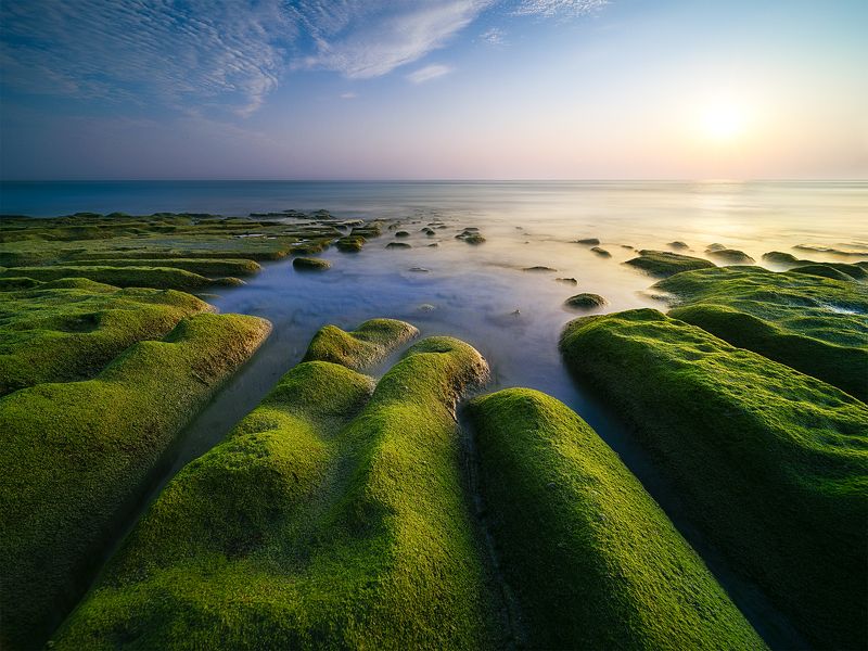 Green Trench фото превью