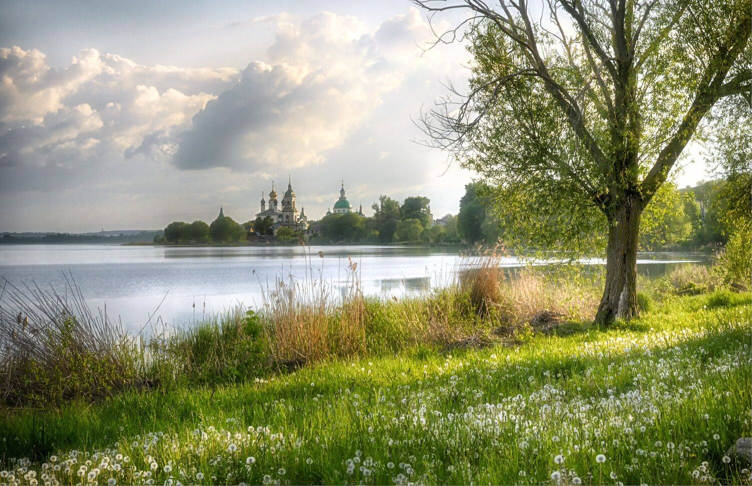 одуванчики дерево озеро монастырь, Вера Петри
