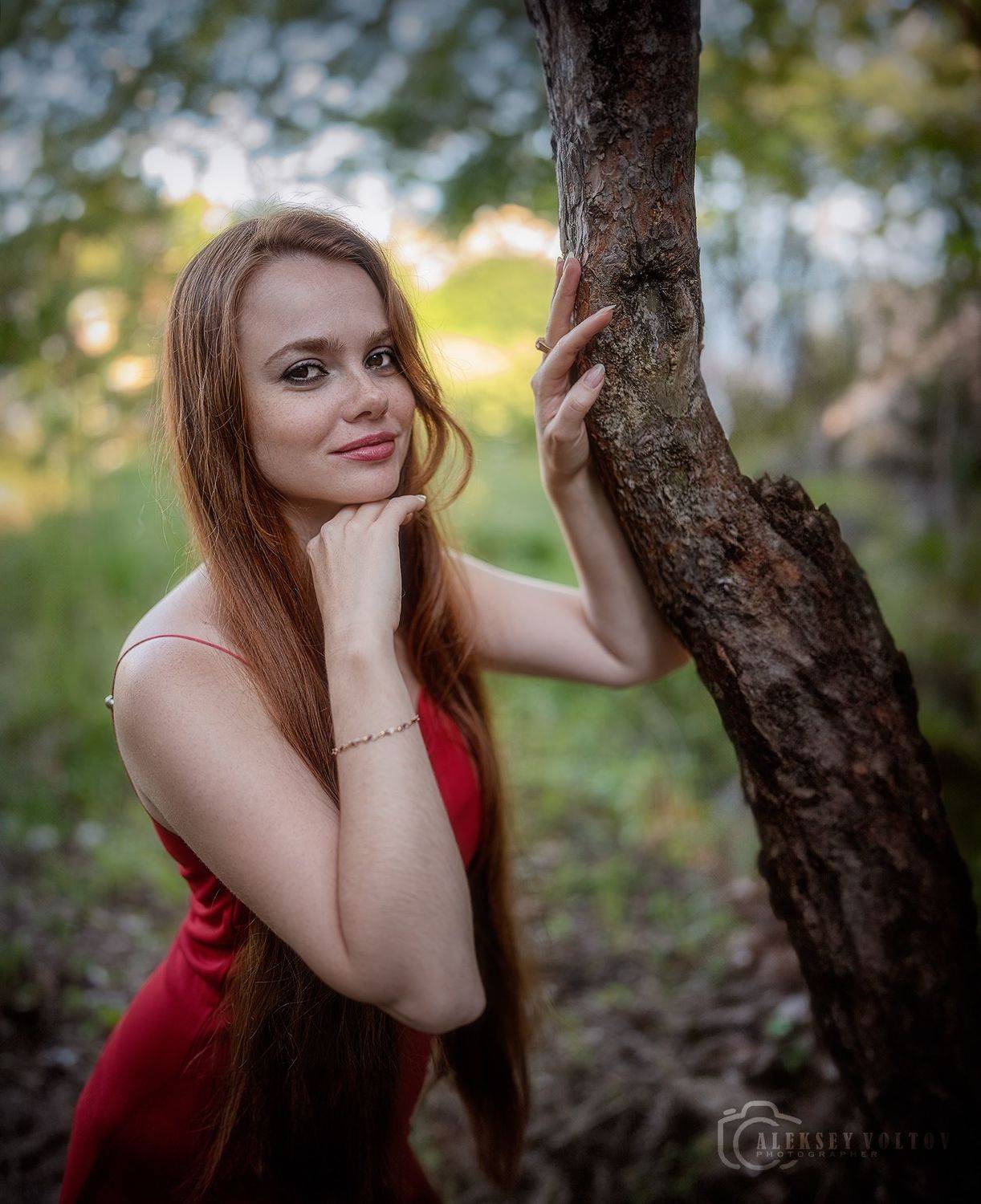 , Алексей Вольтов