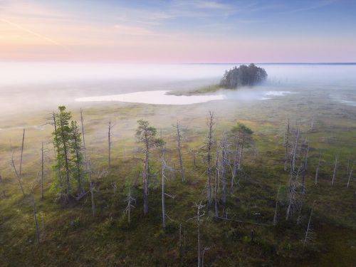 Затерянный мир Кадамских болот