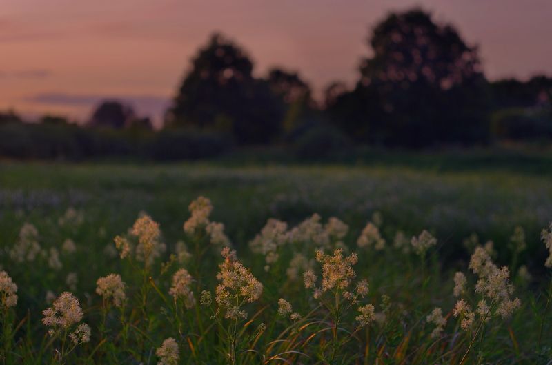 Летний вечер фото превью