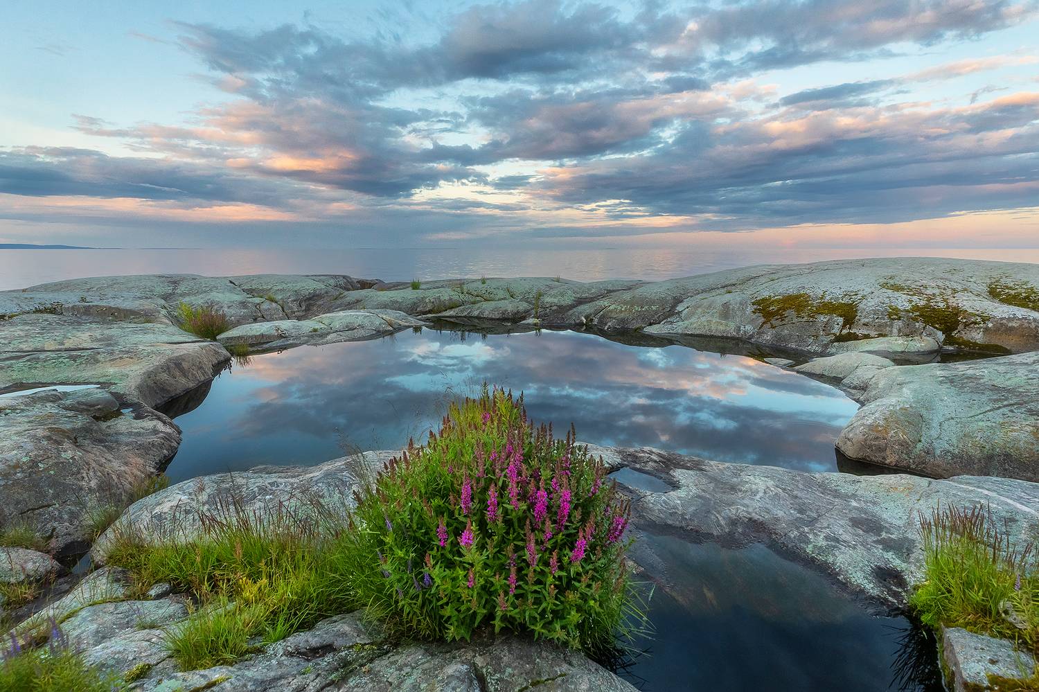 , Александр Пашеничев