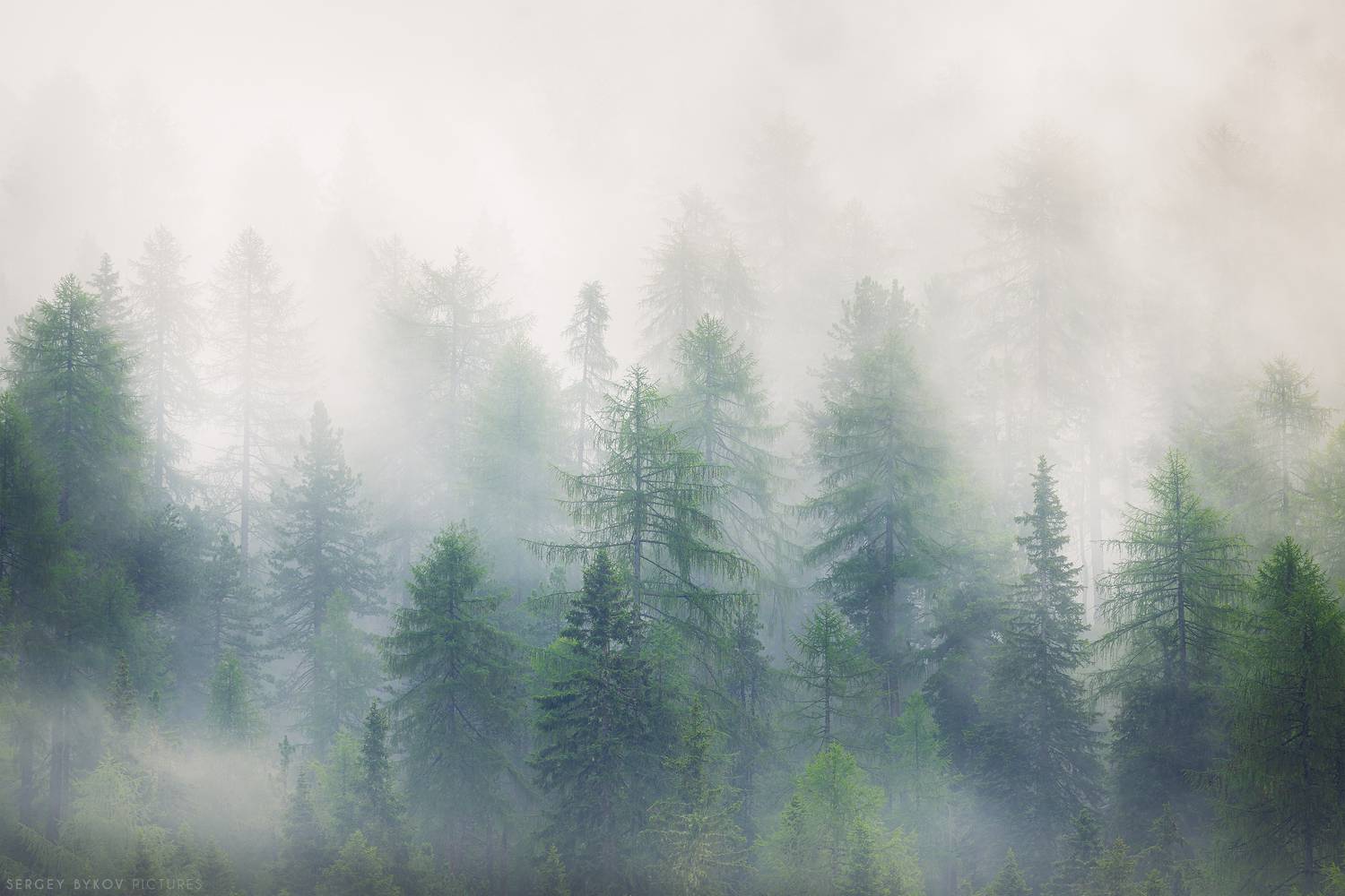 , Быков Сергей