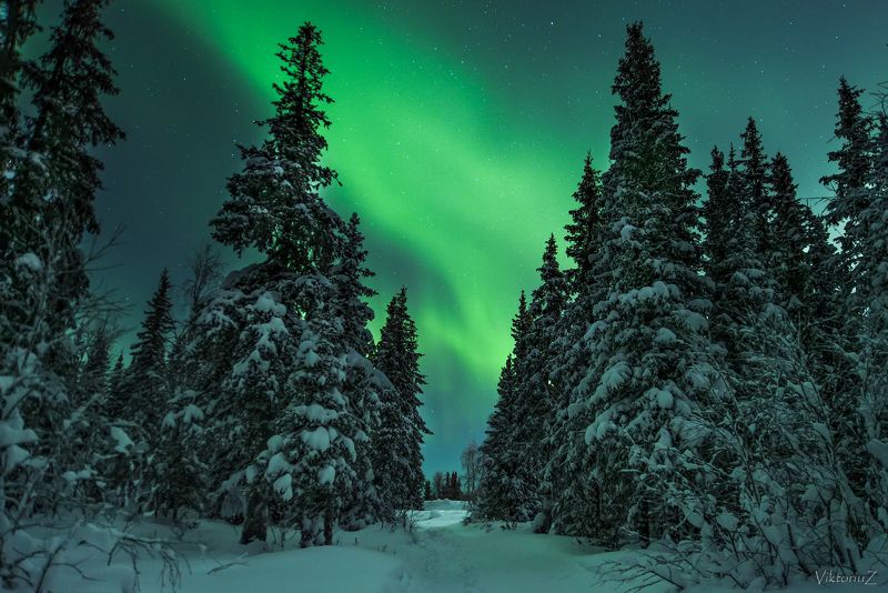 северное сияние, полярное сияние, заполярье, aurora borealis, polar lights  фото превью