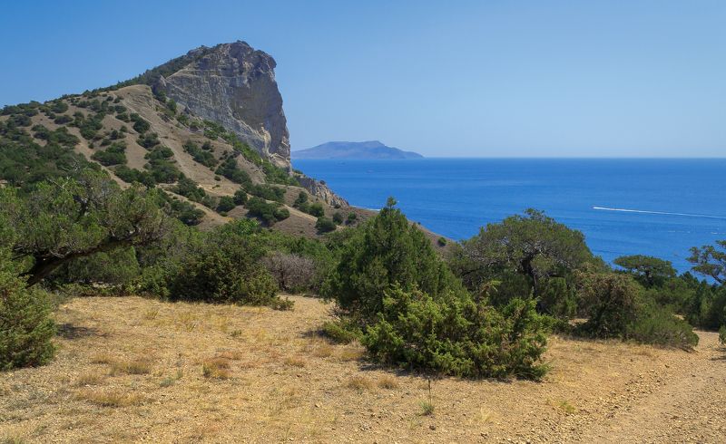 Новый Свет. фото превью