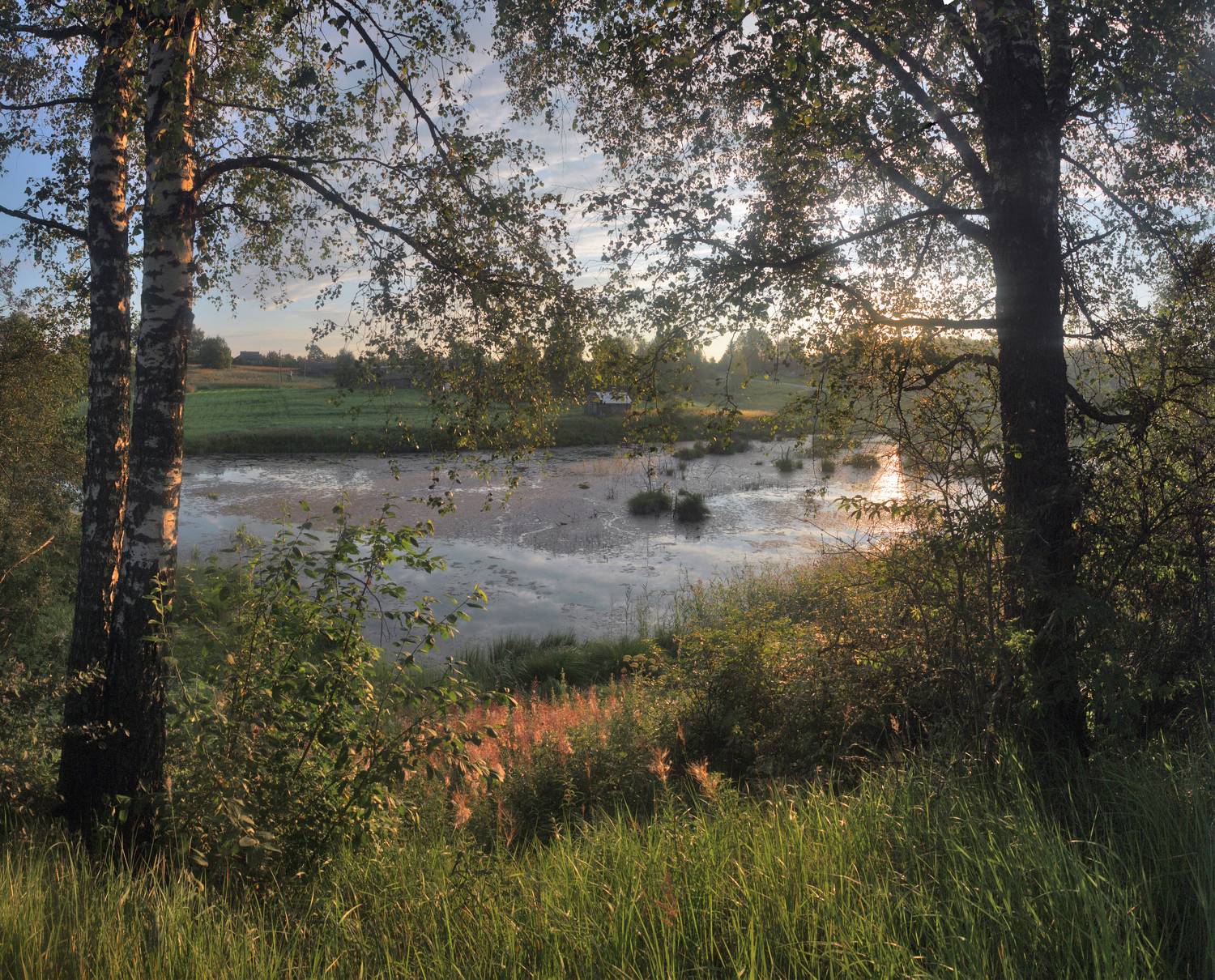 лето, утро, поле , пруд, Александр Свистков