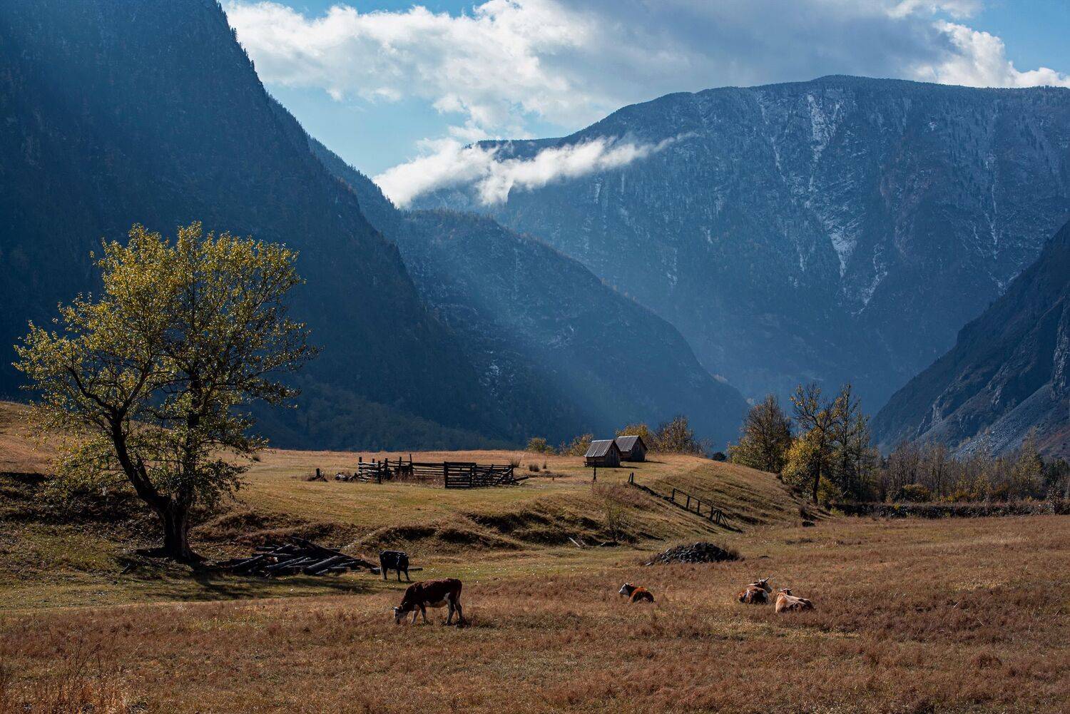 алтай. осень. горы., Евгений Дроботенко