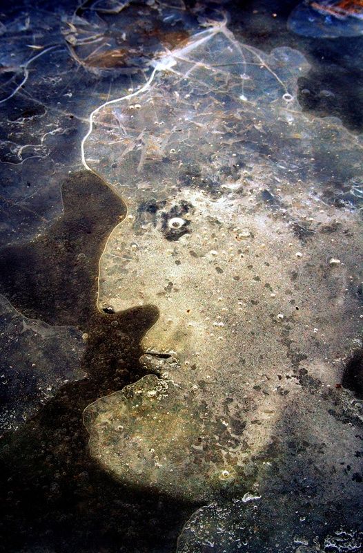 pareidolia Парейдолия (замёрзшая лужа) фото превью