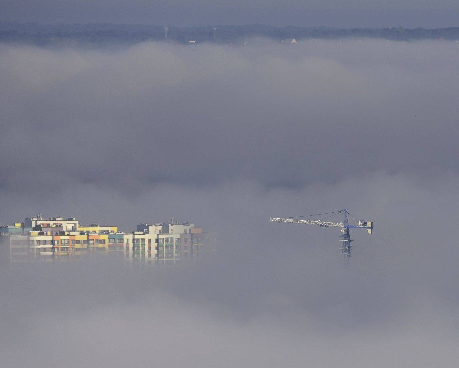 , Меднов Влад