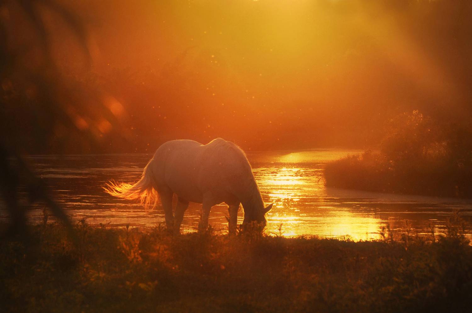 , Буглак Инна