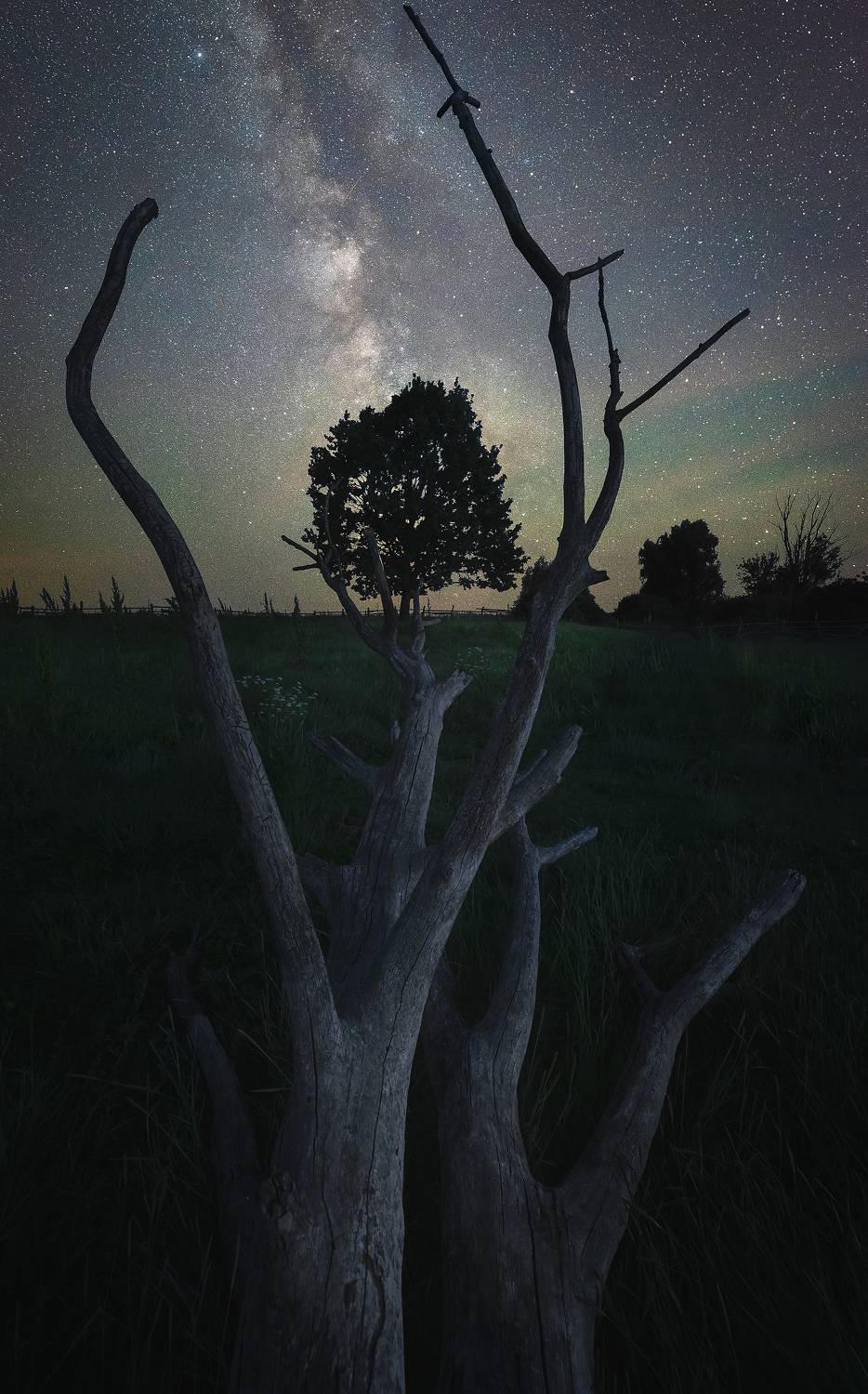 , Захаров Дмитрий