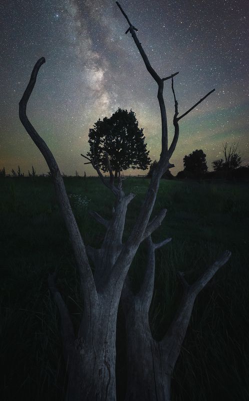 Дотянуться до звёзд фото превью